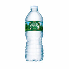 Load image into Gallery viewer, Natural Spring Water • 40 pk x 16.9 oz